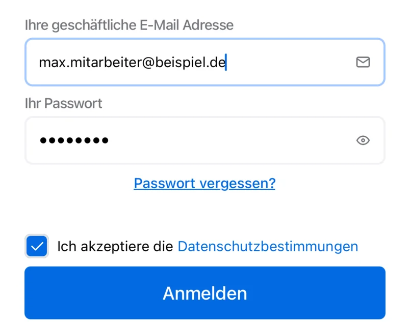 Die Anmeldung in der App mit E-Mail-Adresse, Passwort und der Schaltfläche Anmelden